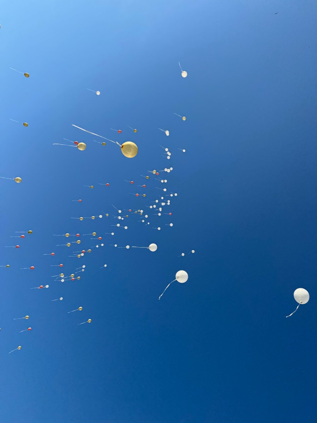 Reasssessing John Bowlby’s Grief and&nbsp;Repair